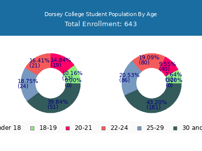 Dorsey College 2024 Student Population Age Diversity Pie chart