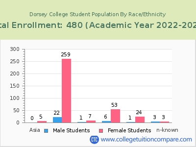 Dorsey College 2023 Student Population by Gender and Race chart