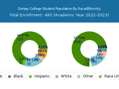 Dorsey College 2023 Student Population by Gender and Race chart