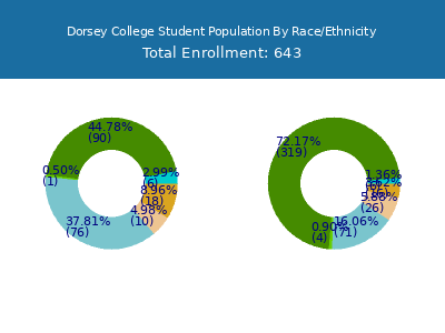 Dorsey College 2025 Student Population by Gender and Race chart