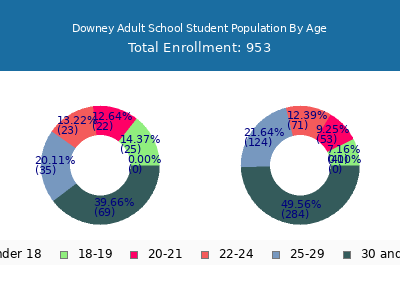 Downey Adult School 2024 Student Population Age Diversity Pie chart