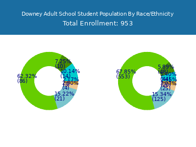 Downey Adult School 2025 Student Population by Gender and Race chart