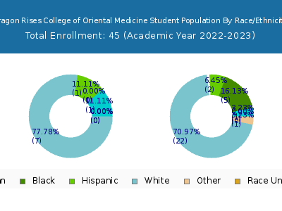 Dragon Rises College of Oriental Medicine 2023 Student Population by Gender and Race chart