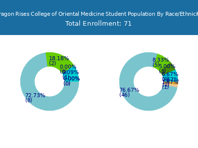 Dragon Rises College of Oriental Medicine 2025 Student Population by Gender and Race chart