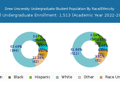 Drew University 2023 Undergraduate Enrollment by Gender and Race chart