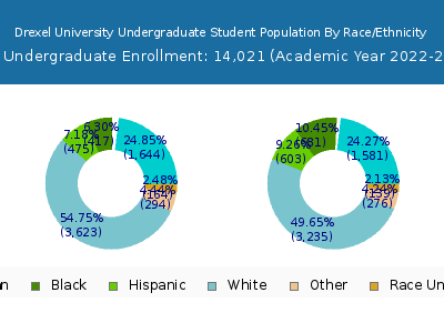 Drexel University 2023 Undergraduate Enrollment by Gender and Race chart