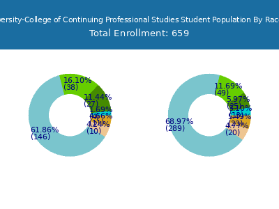 Drury University-College of Continuing Professional Studies 2025 Student Population by Gender and Race chart