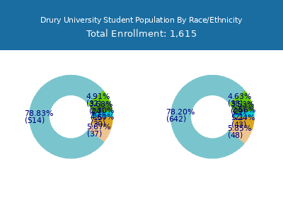 Drury University 2025 Student Population by Gender and Race chart