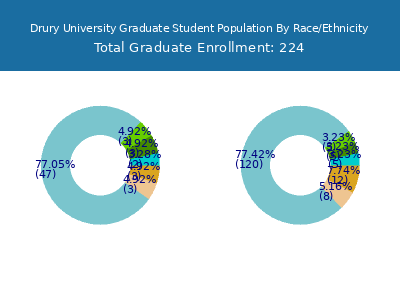 Drury University 2025 Graduate Enrollment by Gender and Race chart