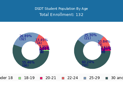 DSDT 2024 Student Population Age Diversity Pie chart