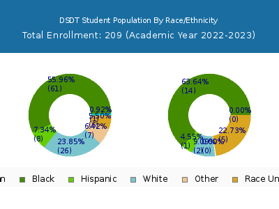 DSDT 2023 Student Population by Gender and Race chart