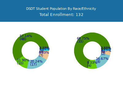 DSDT 2025 Student Population by Gender and Race chart