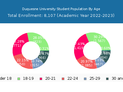 Duquesne University 2023 Student Population Age Diversity Pie chart