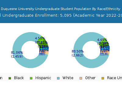 Duquesne University 2023 Undergraduate Enrollment by Gender and Race chart