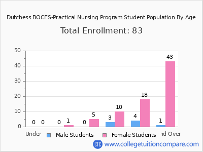 Dutchess BOCES-Practical Nursing Program 2024 Student Population by Age chart