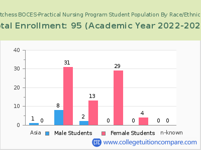 Dutchess BOCES-Practical Nursing Program 2023 Student Population by Gender and Race chart