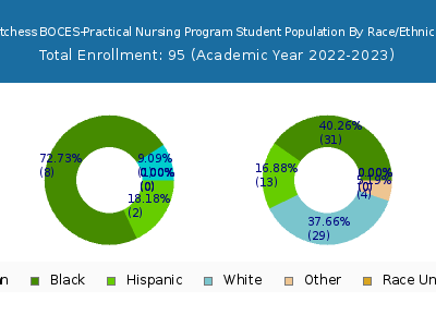 Dutchess BOCES-Practical Nursing Program 2023 Student Population by Gender and Race chart