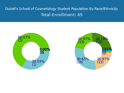 DuVall's School of Cosmetology 2025 Student Population by Gender and Race chart