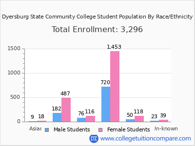 Dyersburg State Community College 2025 Student Population by Gender and Race chart