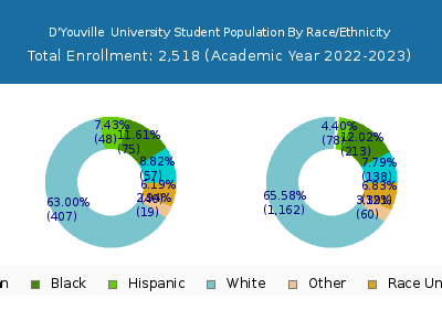 D'Youville  University 2023 Student Population by Gender and Race chart