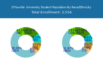 D'Youville  University 2025 Student Population by Gender and Race chart
