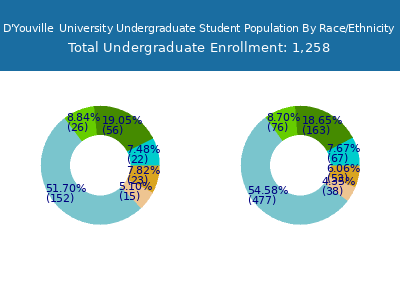 D'Youville  University 2025 Undergraduate Enrollment by Gender and Race chart