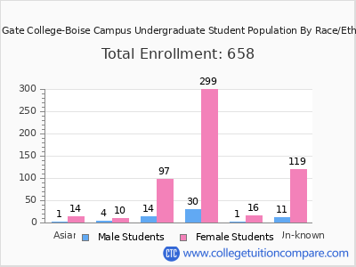 Eagle Gate College-Boise Campus 2025 Undergraduate Enrollment by Gender and Race chart