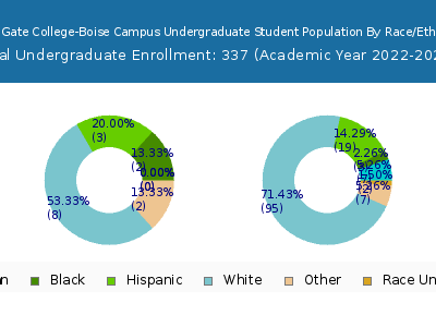 Eagle Gate College-Boise Campus 2023 Undergraduate Enrollment by Gender and Race chart