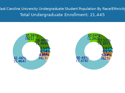 East Carolina University 2025 Undergraduate Enrollment by Gender and Race chart