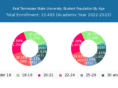 East Tennessee State University 2023 Student Population Age Diversity Pie chart