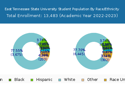 East Tennessee State University 2023 Student Population by Gender and Race chart
