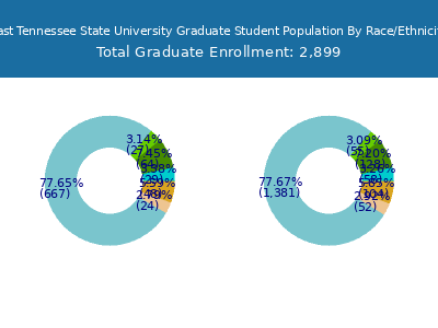 East Tennessee State University 2025 Graduate Enrollment by Gender and Race chart