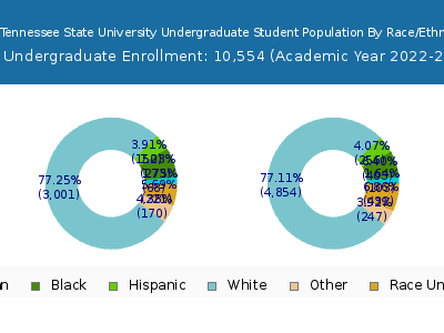 East Tennessee State University 2023 Undergraduate Enrollment by Gender and Race chart