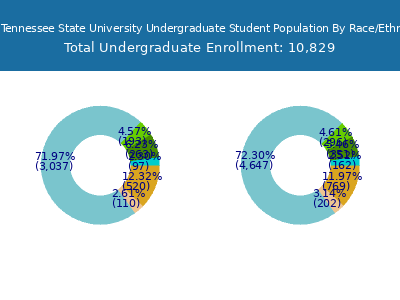 East Tennessee State University 2025 Undergraduate Enrollment by Gender and Race chart