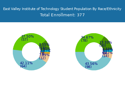 East Valley Institute of Technology 2025 Student Population by Gender and Race chart