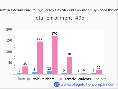 Eastern International College-Jersey City 2025 Student Population by Gender and Race chart
