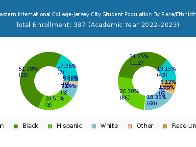 Eastern International College-Jersey City 2023 Student Population by Gender and Race chart