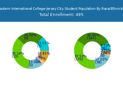 Eastern International College-Jersey City 2025 Student Population by Gender and Race chart