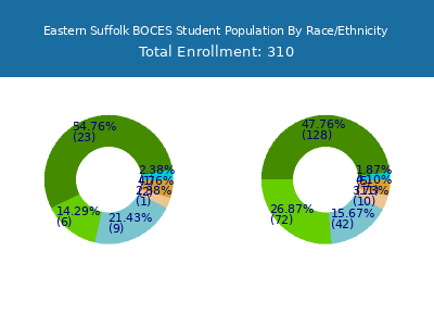 Eastern Suffolk BOCES 2025 Student Population by Gender and Race chart