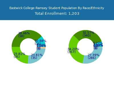 Eastwick College-Ramsey 2025 Student Population by Gender and Race chart