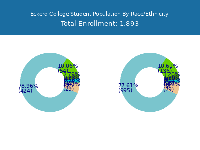Eckerd College 2025 Student Population by Gender and Race chart