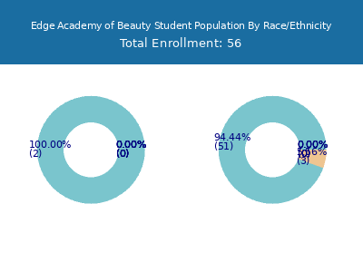 Edge Academy of Beauty 2025 Student Population by Gender and Race chart
