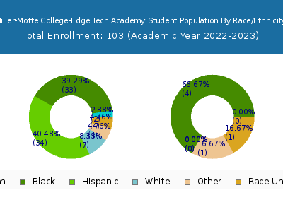 Miller-Motte College-Edge Tech Academy 2023 Student Population by Gender and Race chart
