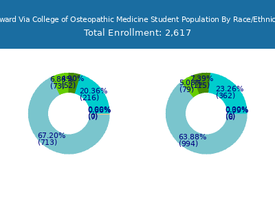 Edward Via College of Osteopathic Medicine 2025 Student Population by Gender and Race chart