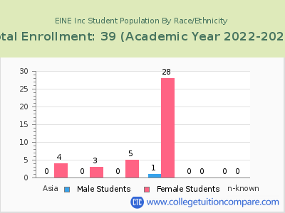 EINE Inc 2023 Student Population by Gender and Race chart