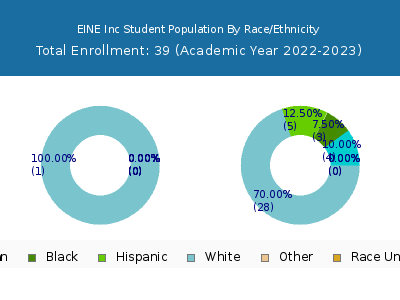 EINE Inc 2023 Student Population by Gender and Race chart