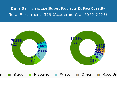 Elaine Sterling Institute 2023 Student Population by Gender and Race chart