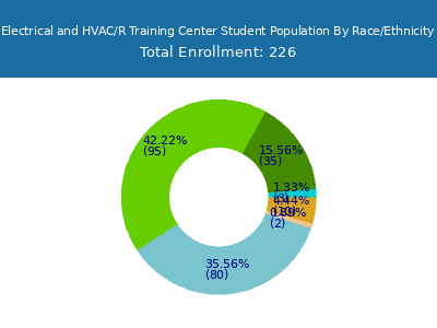 Electrical and HVAC/R Training Center 2025 Student Population by Gender and Race chart