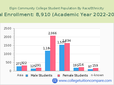 Elgin Community College 2023 Student Population by Gender and Race chart