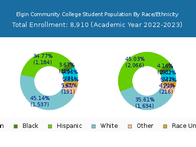 Elgin Community College 2023 Student Population by Gender and Race chart